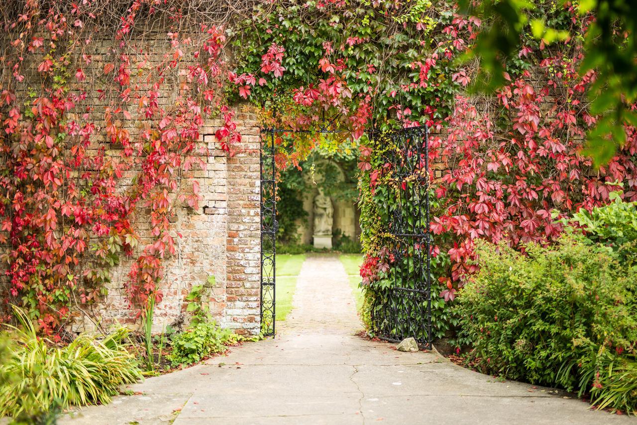 Eastwell Manor, Champneys Hotel & Spa Ашфорд Екстериор снимка